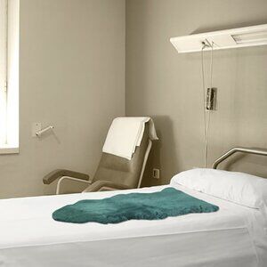 Natural Medical Classic Sheepskin Single Pelt | 1-Piece | Emerald | 24"x36"